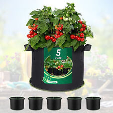 5pks garden plant for sale  San Bernardino