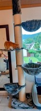 Fast neuer kratzbaum gebraucht kaufen  Vörstetten