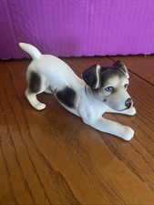 Playful jack russell for sale  SOUTHEND-ON-SEA