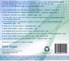 Various kundalini remix gebraucht kaufen  Berlin