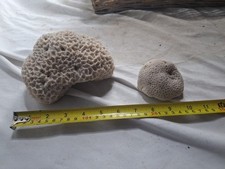 Large vintage natural for sale  PONTEFRACT