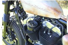 Harley davidson seitlicher gebraucht kaufen  Rottenburg am Neckar