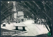 Salerno campagna adesivo usato  Gambolo