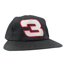 Vintage dale earnhardt for sale  Fleetwood