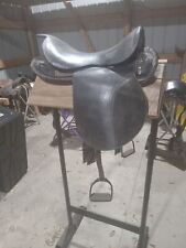 Australian light horse for sale  Tipton