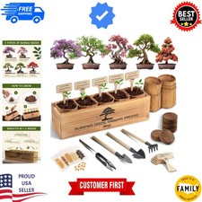 Complete beginner bonsai for sale  USA