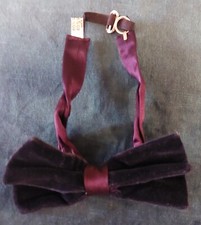 Noeud papillon velours d'occasion  Monts-sur-Guesnes