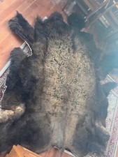Bull buffalo hide for sale  Lebanon