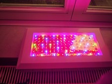 Led grow light gebraucht kaufen  Hamburg