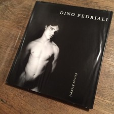 Fotobuch dino pedriali gebraucht kaufen  Freiberg