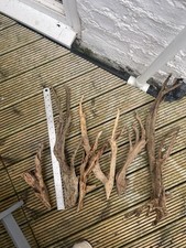 Aquarium wood for sale  NORTH SHIELDS