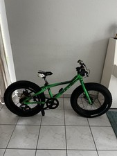 Bulls fat bike gebraucht kaufen  Baden-Baden