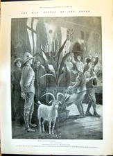 Old 1900 war for sale Old 1900 war for sale  UK