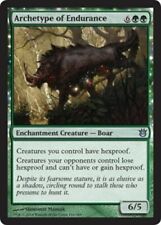 Archetype endurance boar for sale  LINCOLN