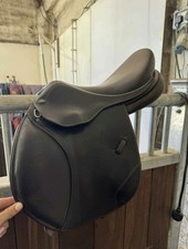 Brown 15.5 rio for sale  HEREFORD