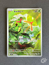 Caterpie 172 165 usato  Castellanza