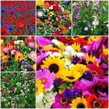 Sommerblumen wildblumen schmet gebraucht kaufen  Oschersleben (Bode)