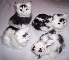 Vtg cat kitten for sale  Webster