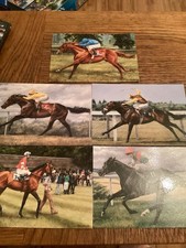 Racehorse card prints for sale  BASINGSTOKE