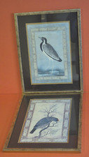 Ustad mansur prints for sale  BEDFORD