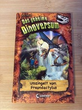 Geheime dinoversum umzingelt gebraucht kaufen  Oberreichenbach
