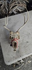 Goofy mule deer for sale  Montrose