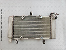 Radiatore acqua 19010 usato  Italia