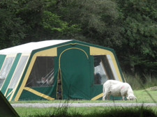 Frame tent easy for sale  LIVERPOOL