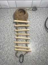 Small critter coconut for sale  Henderson