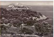 1962 isole tremiti usato  Montebelluna