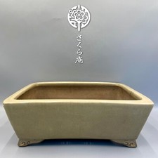 Pote japonês Bonsái "GYOZAN 行山" W:33cm 13,0in/L:10,4in/H:4,3in do JAPÃO #256 comprar usado  Enviando para Brazil