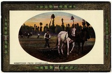 Sheboygan greetings farmer for sale  Kingston
