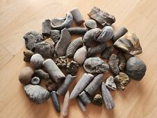 Yorkshire coast fossils for sale  HULL