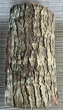 Oak log long for sale  Livingston