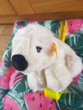 Steiff knut polar for sale  TAUNTON