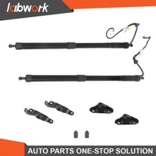 Labwork tailgate power for sale  Chino