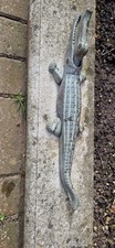 Vintage brass alligator for sale  BEDFORD