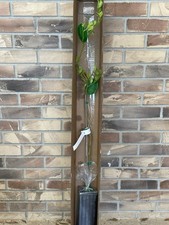 Persian lime ft. for sale  Eagle Lake