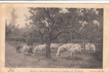 Bois arcy moutons d'occasion  Bourg-de-Péage