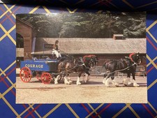 Maidenhead courage shire for sale  BRIDLINGTON