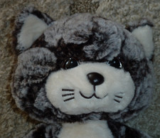 Süße schlenkerkatze groß gebraucht kaufen Süße schlenkerkatze groß gebraucht kaufen  Deutschland