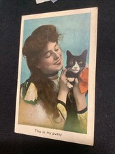 Vintage cat kitten for sale  Trumbull