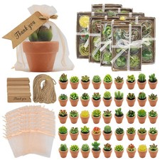 Pcs succulent candles for sale  Eugene