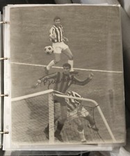 Grande fotografia guarneri usato  Dozza