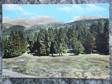 Cartolina cevo pineta usato  Napoli