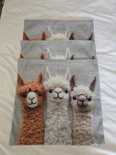 Cute alpaca llama for sale  SOUTH SHIELDS
