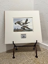 1984 michael sieve for sale  Tucson