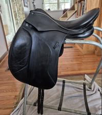 Stubben euphoria dressage for sale  Sigel