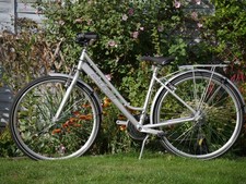 Raleigh pioneer step for sale  DUNMOW