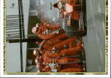 Figurina ferrari panini usato  Italia